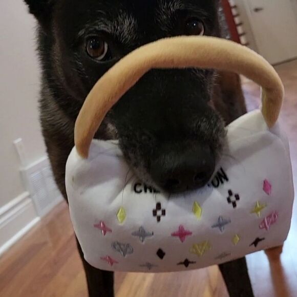 *Lot of 5* Dog Toy Cat Toy Desinger Purse Plush Pet Lover Gift Stuffed 5 Toys! - Picture 3 of 3